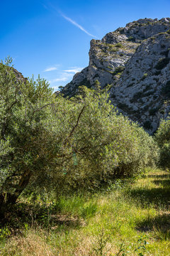 Gorges de Regalon in Provence