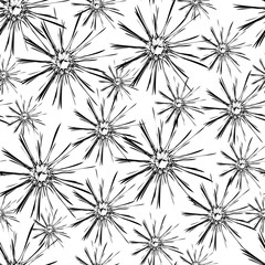 dandelion pattern
