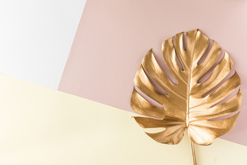 Gold tropical monstera leaves on white background. Flat lay, top view. Tropical plant backdrop