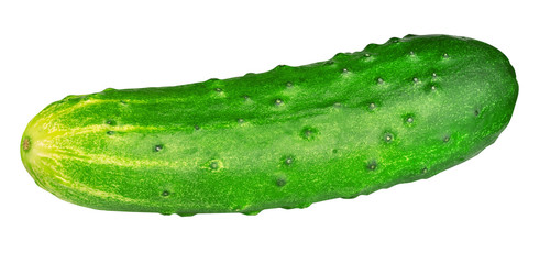 cut green cucumber isolated on white background
