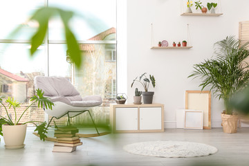 Trendy room interior with different home plants