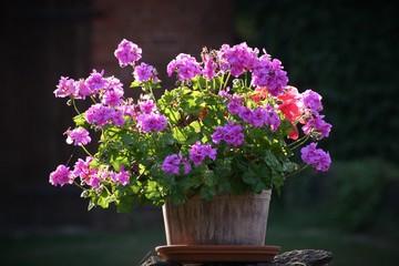 bouquet of flowers in vase on a white background