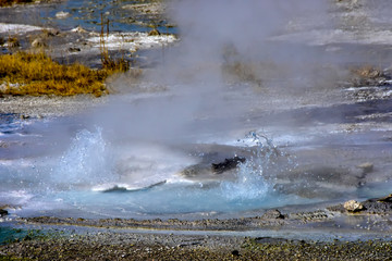 Minute Geyser