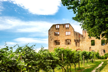 Burg Landskron, Oppenheim, Deutschland 