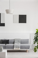 Black and grey paintings on white wall behind comfortable grey couch in elegant living room