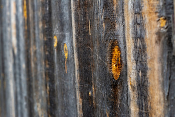 Background from wooden boards of natural color