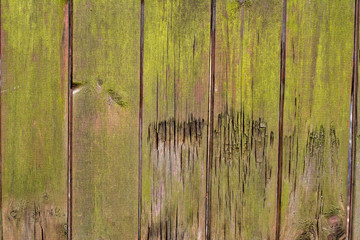 Background of old wooden moss covered wooden boards