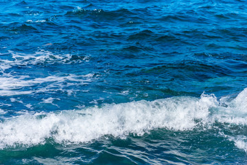 志賀島　勝馬の海