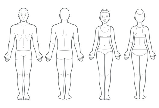 Male and female body chart