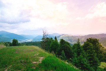 Mountain forest landscape under evening sky with clouds in sunlight.