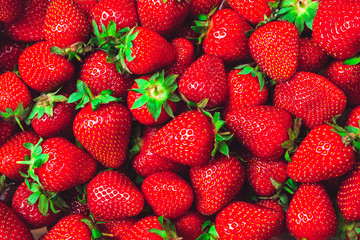 many red ripe strawberries with green stalks - background