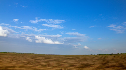 Fototapeta na wymiar Black fertile soil on a sprinkled spring field. Landscape