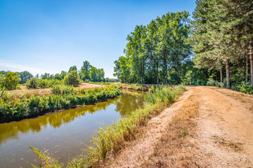 Belgian summer landscape with The Big Nete (Grote Nete) river.