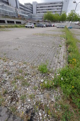 Univerrsität Bielefeld Sanierung wildwuchs