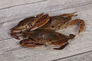 Raw crab - ready for cooking