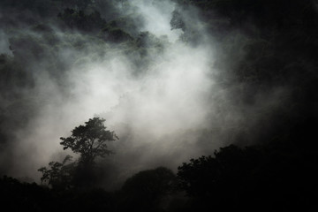 Fototapeta na wymiar Cloud forest at San Gerardo de Dota, Costa Rica in the Talamanca mountain range. Los quetzales national park. 