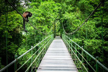 Huiler bij de hangende brug bij het tropisch regenwoud in Sarapiqui, Costa Rica. Brug over de Sarapiqui-rivier.