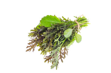 Bunch of fresh green salad leaves.