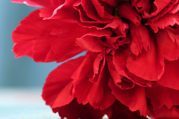 Red Carnation as background. 