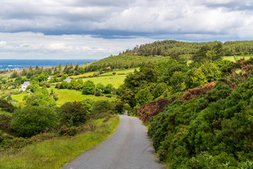 Fototapeta na wymiar Empty country narrow asphalt road winding through green forest covered hills and valleys. Rural scene in County Dublin, Ireland on a summer day.