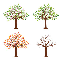 Tree in four seasons - spring, summer, autumn, winter. Isolated on white background. Abstract image. Flat style, vector illustration.