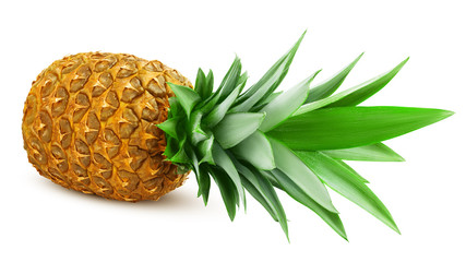 Fototapeta premium pineapple isolated on white background, clipping path, full depth of field