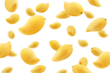 Falling yellow mango isolated on white background, selective focus