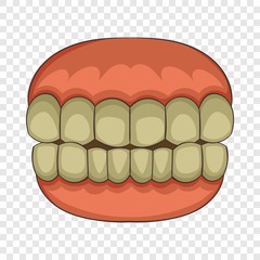 Teeth icon. Cartoon illustration of teeth vector icon for web