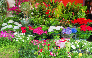 Many different flowers in the flower shop.