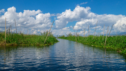 floating gardens
