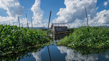 farms on the lake