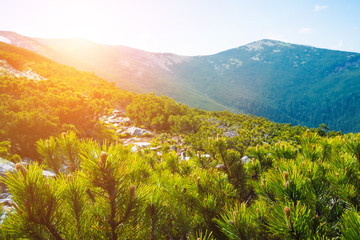 mountain hills beautiful mountain landscape