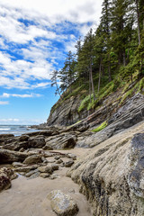 Summer on the Sandy Beach of the Pacific Northwest