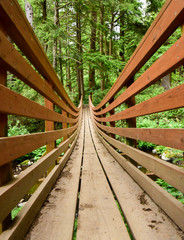 Boardwalk Path Through the Pacific Northwest Wooded Forest