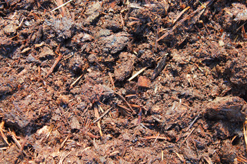 Manure is an organic fertilizer consisting of farm animal excrement. Close-up. Background. Texture.