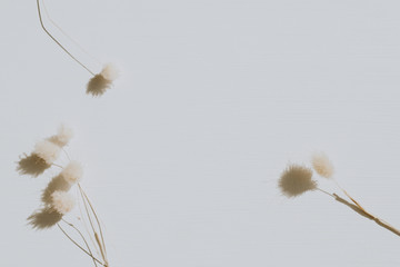 Dry flowers on dusty grey background. Flat lay, top view minimal neutral floral composition. Copy space mock up template.