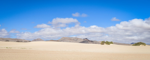 Natural landscape with amazing white sand dunes and blue sky with clouds near El Corralejo Fuerteventura Canary Island. Summer exotic vacation postcard from tropical islands in the ocean Panorama view