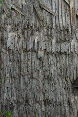 Wooden roof of wood chips texture background old