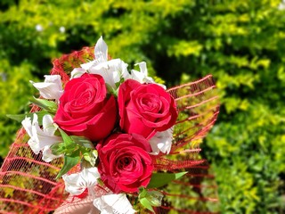 bouquet of red roses