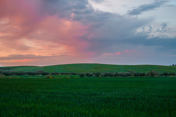 atardecer de nubes colorido en campo de trigo en primavera colorido