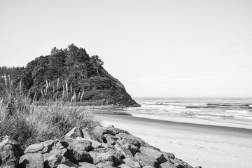 Summer on the Sandy Beach of the Pacific Northwest