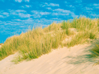 Dune with beach grass in Tarifa, costa de la luz, Spain, Europe