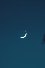 Obraz na płótnie Canvas Moon with dark blue background