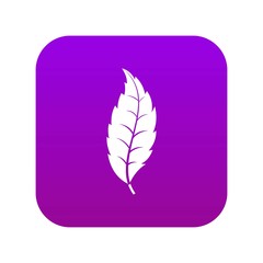 Narrow toothed leaf icon digital purple for any design isolated on white vector illustration