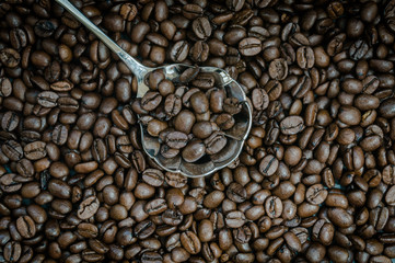 Coffee beans on a silver spoon.