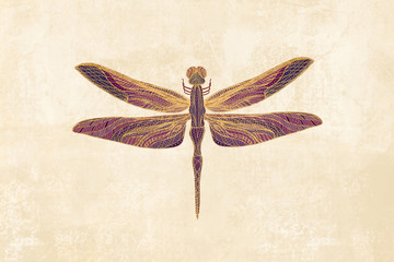 Art Nouveau Dragonfly - 277243817