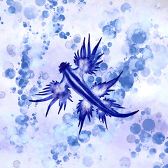 Blue Dragon Sea Slug - 277243841