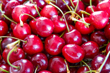 Close up of pile of ripe cherries with stalks and leaves. Large collection of fresh red cherries.