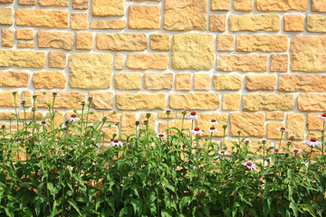 Obraz premium Kwiaty i zieleń na tle pięknej ściany z kamienia.