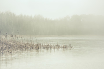 Forest lake covered with thick morning mist